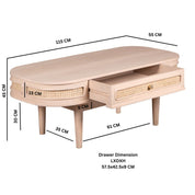 Dingle Wooden 1 Drawer Coffee Table
